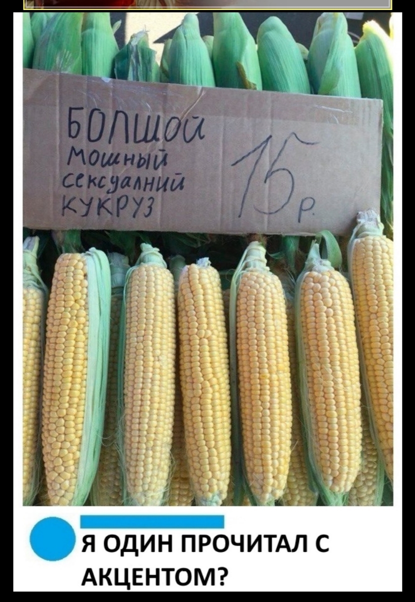 ц ч 12713 з _ ЪЁЁ _ __ і 3333 іі 3333533 39300 321232 А С м И Ч 0 Р П Н И д 0 Я М О т н Е Ц к А