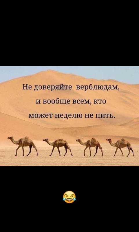 Не доверяйте верблюдам и вообще всем к МОЖЕТ неделю не ПИТЬ ЖЖЖЖ