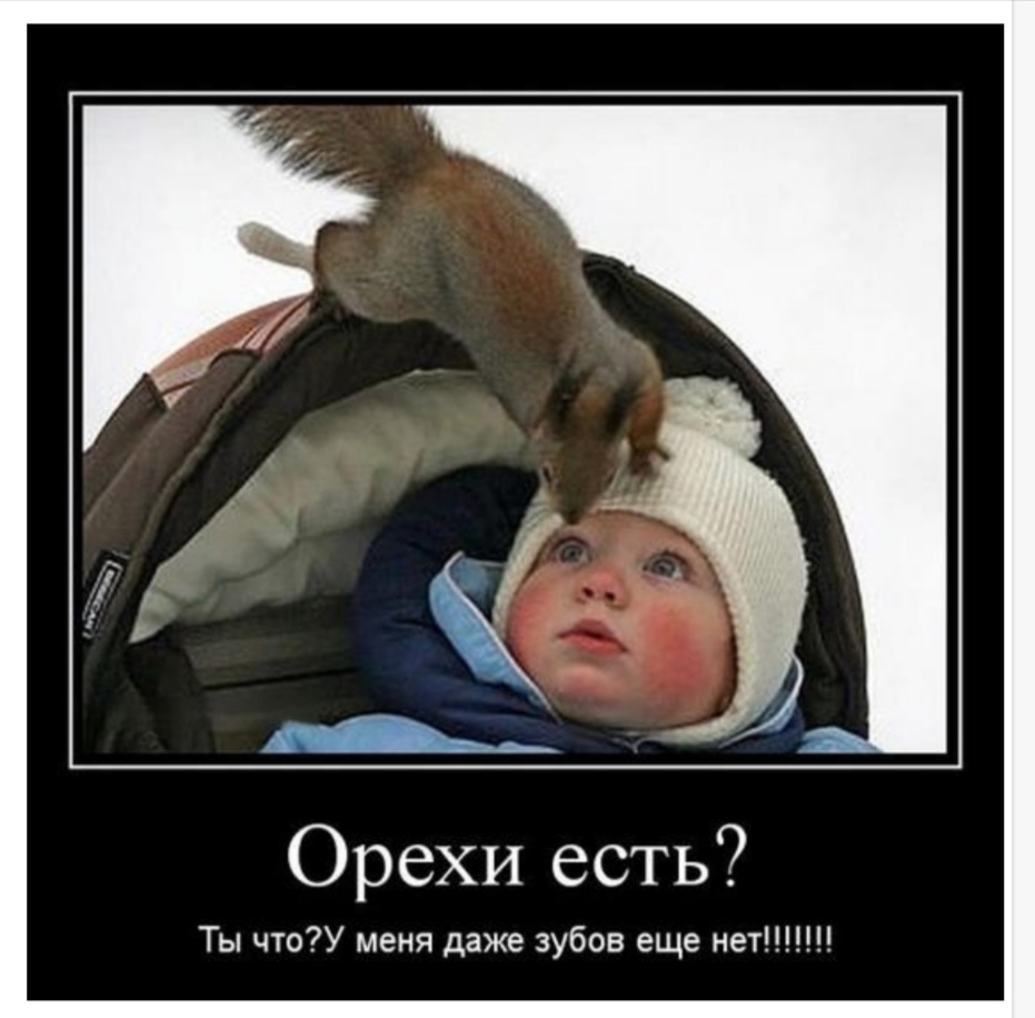 Орехи есть Ты чтоУ меня даже зубов еще нет