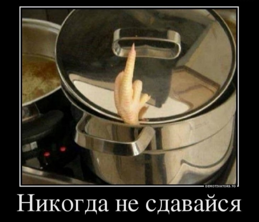 Никогда не сдавайся