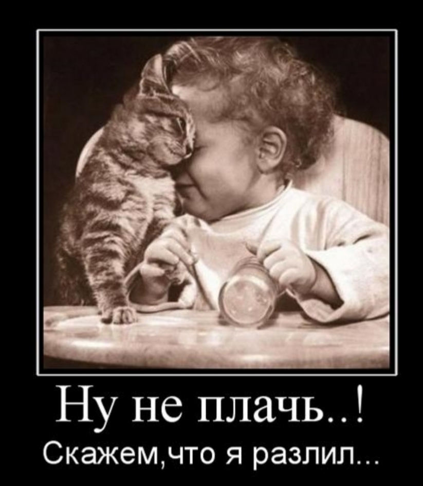 Ну не плачь Скажемчто я разлил