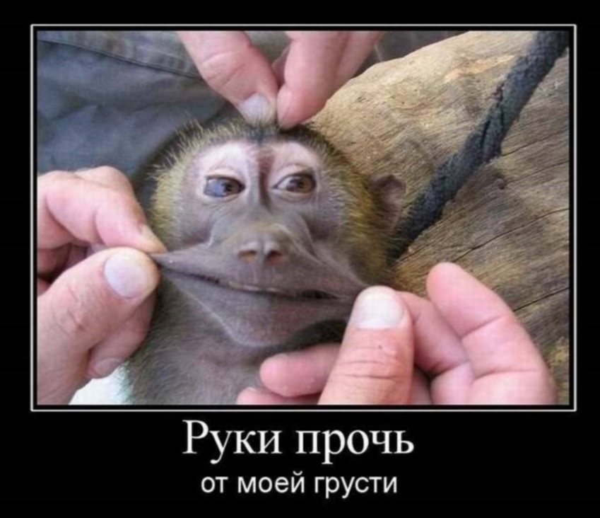 Руки прочь от моей грусти