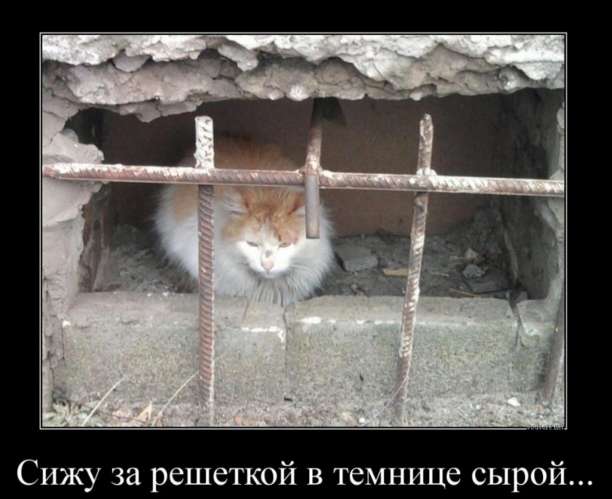 Сижу за решеткой в темнице сырой