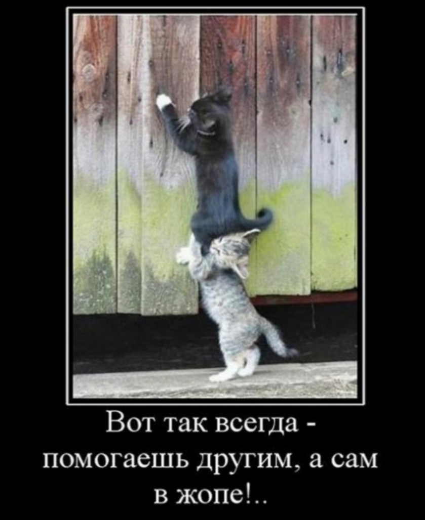 Вот так всегда помогаешь другим а сам в жопе