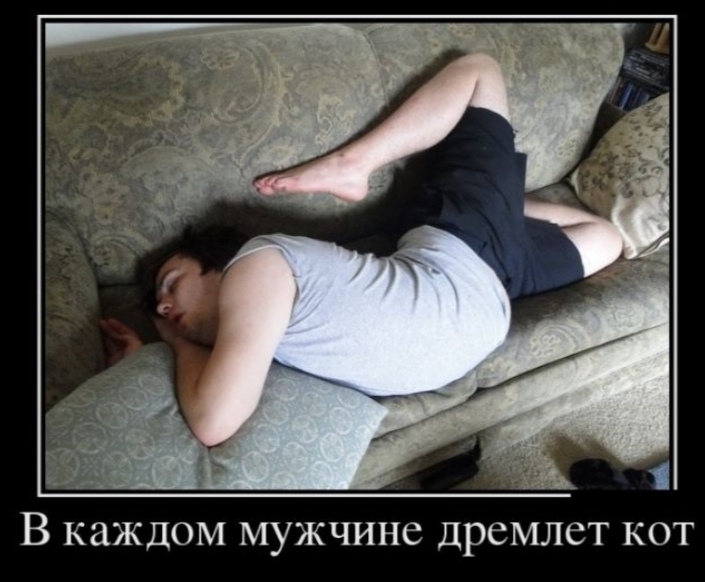 В каждом МУЖЧИНС ДРСМЛСТ КОТ