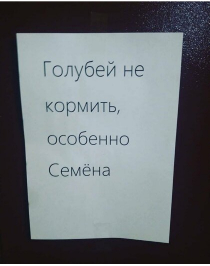 Голубой не кормить особенно Семёна