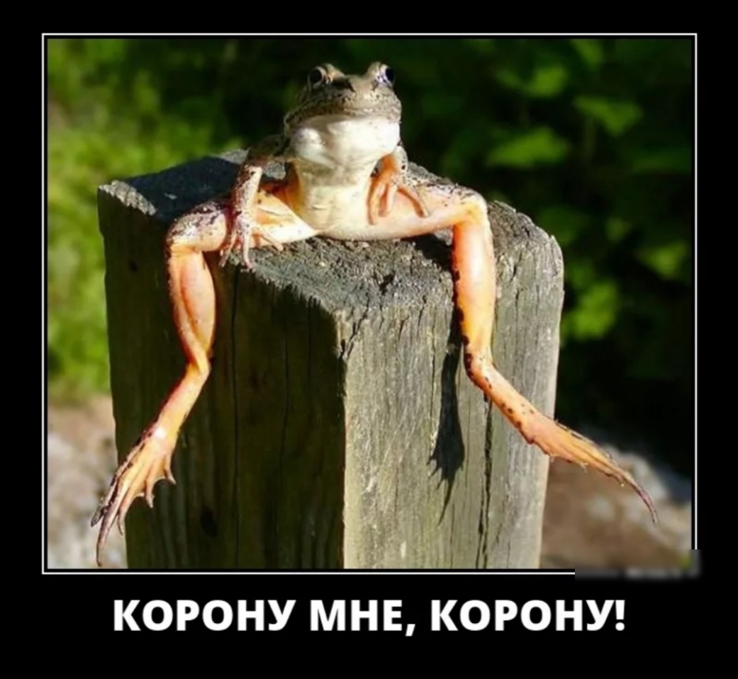 КОРОНУ МНЕ КОРОНУ
