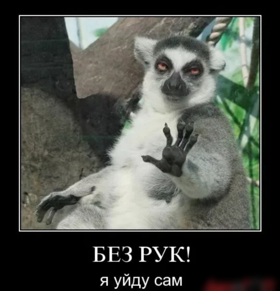 БЕЗ РУК я уйду сам