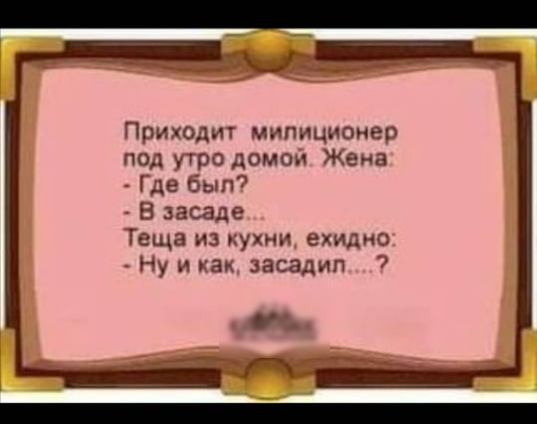 Приходит мипиционер под утро домом Жена Где был В засаде Теща из кухни ехидно Ну и как засадил