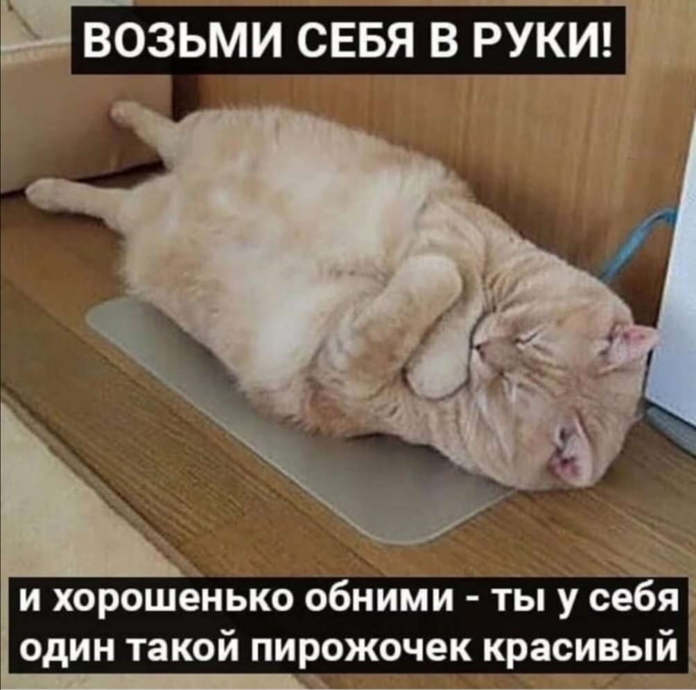 д 5 и хорошенько обними ты у себя один такой пирожочек красивый _іл Т