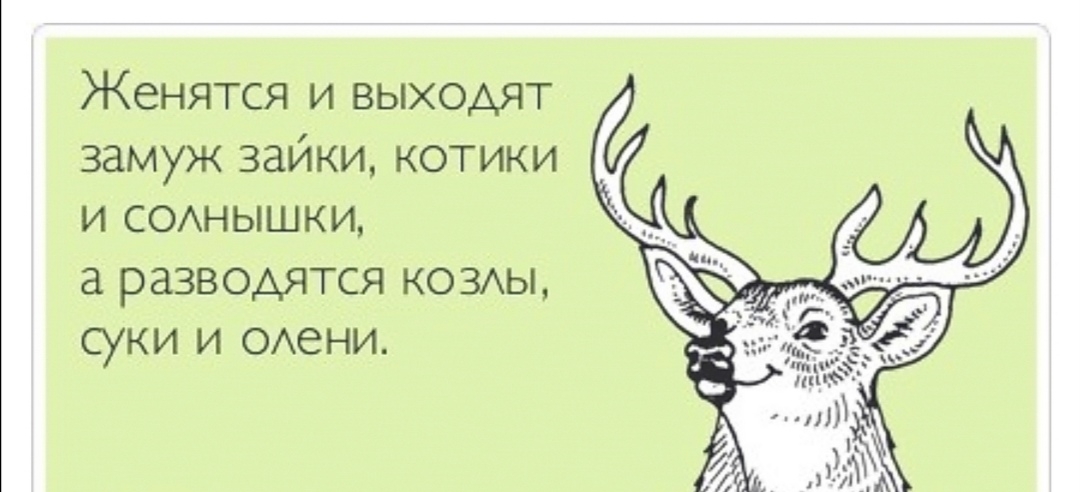 Женятся и выходят замуж зайки котики и СОАНЫШКИ разводятся ковы суки и ОАеНИ