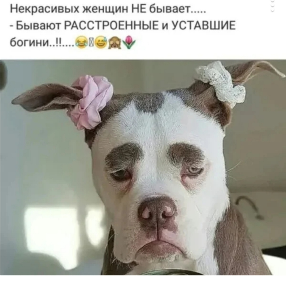 Некрасивых женщин НЕ бывает Бывают РАССТРОЕННЫЕ и УСТАВШИЕ богиниаыь