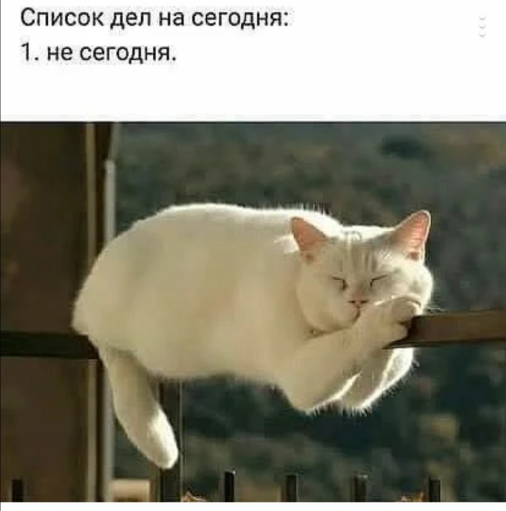 Список дел на сегодня 1 не сегодня