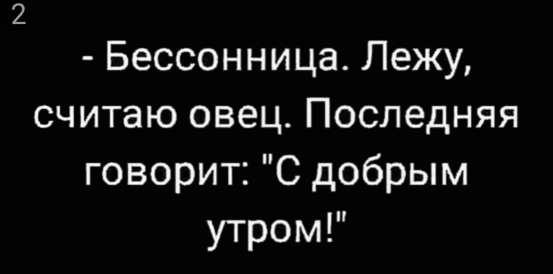 Бессонница Лежу считаю овец Последняя говорит С добрым утром