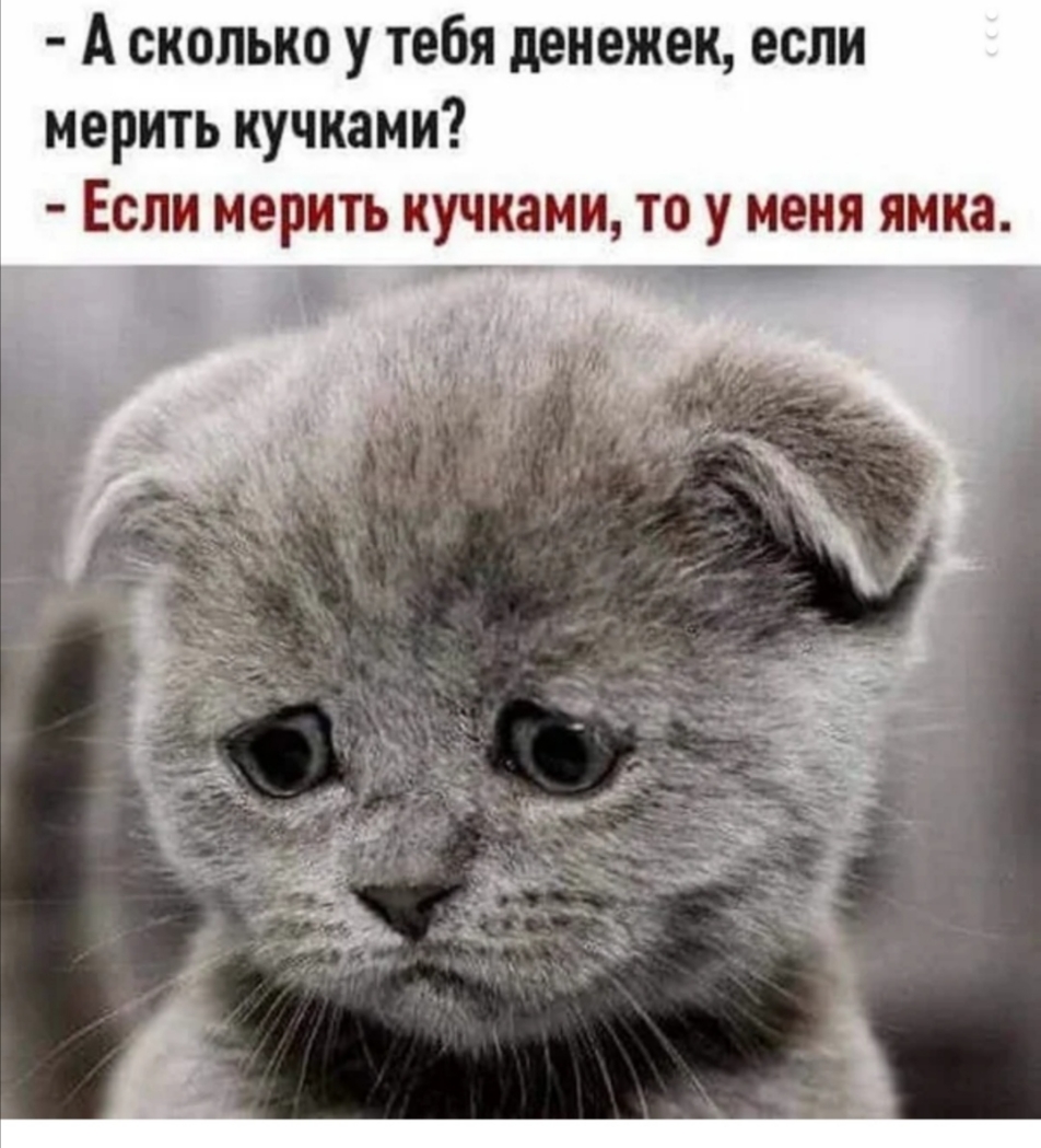А сколько у тебя денежек если мерить кучками Если мерить кучками то у меня ямка _