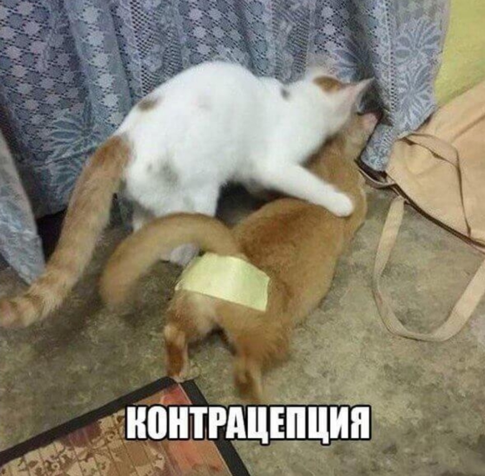 3 А _ _