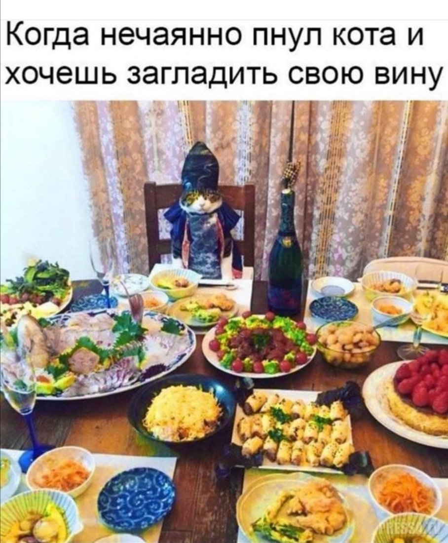 Когда НЭЧЭЯННО ПНУП кота И ХОЧЭШЬ ЗЭГЛЭДИТЬ СВОЮ ВИНУ