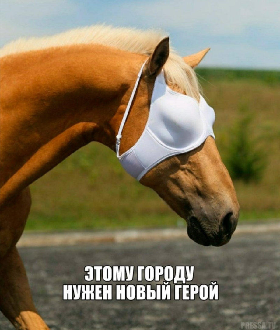 р 4 ЗЮМУ ШРПДУ ШШШ новый той