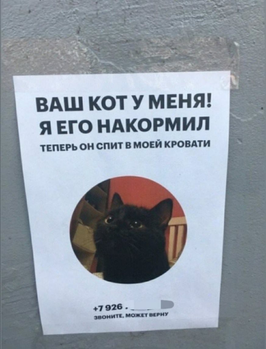 ВАШ КОТ У МЕНЯ Я ЕГО НАКОРМИЛ ТЕПЕРЬ ОН СПИТ В МОЕЙ КРОВАТИ