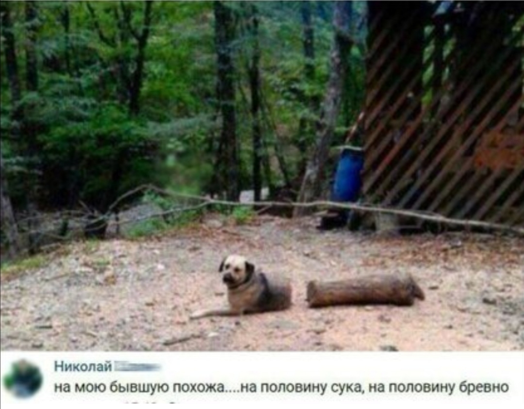 __ дя _ ч На мою бывшую ПО жа на половину ую на ПОПЭВИЩ