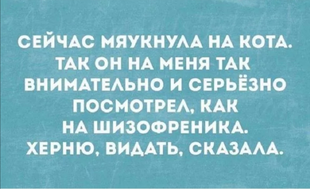 СЕЙЧАС МЯУКНУАА НА КОТА ТАК ОН НА МЕНЯ ТАК ВНИМАТЕАЬНО И СЕРЬЁЗНО ПОСМОТРЕА КАК НА ШИЗОФРЕНИКА ХЕРН Ю ВИААТЬ СКАЗААА