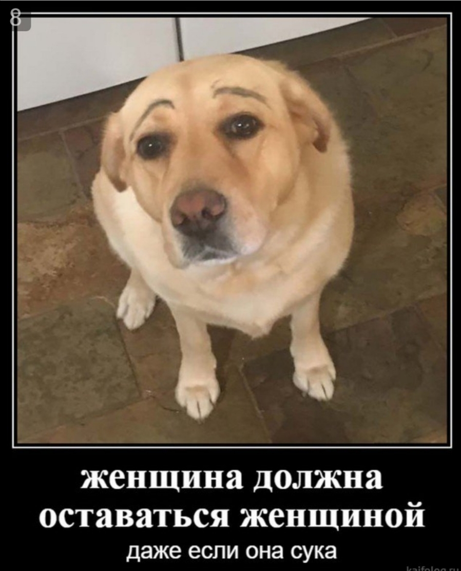 женщина ДОЛЖНЯ оставаться женщиной даже если она сука