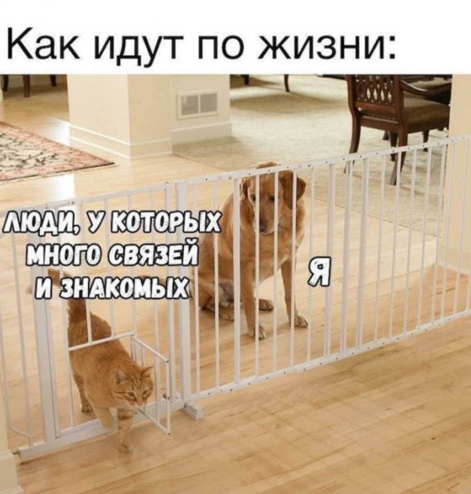 Как идут по жизни