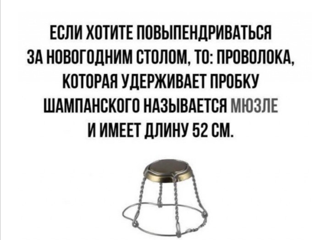 ЕОЛИ ХОТИТЕ ПОВЫПЕНЛРИВАТЬОЯ ЗА НОВОГОДНИМ СТОЛОМ ТО ПРОВОЛОКА КОТОРАЯ УДЕРЖИВАЕТ ПРОБКУ ШАМПАНОКОГО НАЗЫВАЕТСЯ МЮЗЛЕ И ИМЕЕТ ДЛИНУ 52 СМ