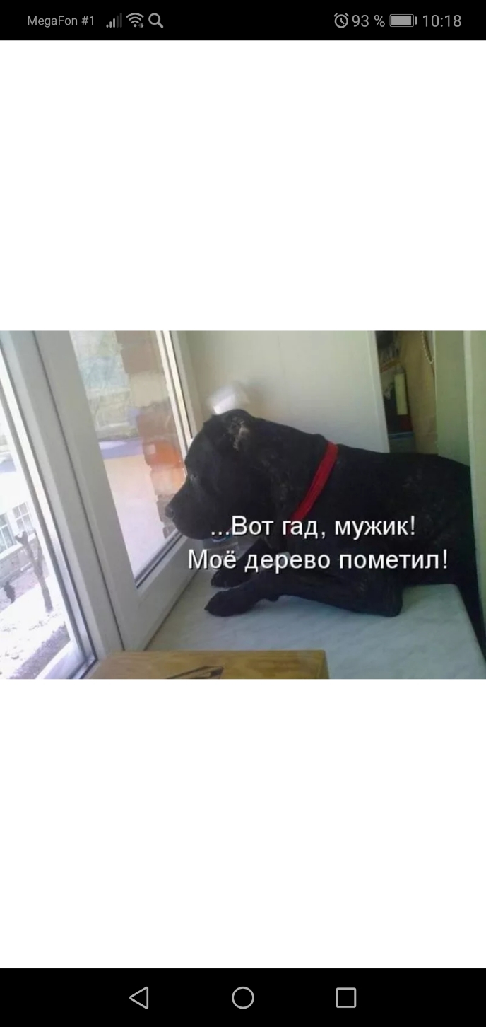 _ Вот гад мужик Моё дерево пометип