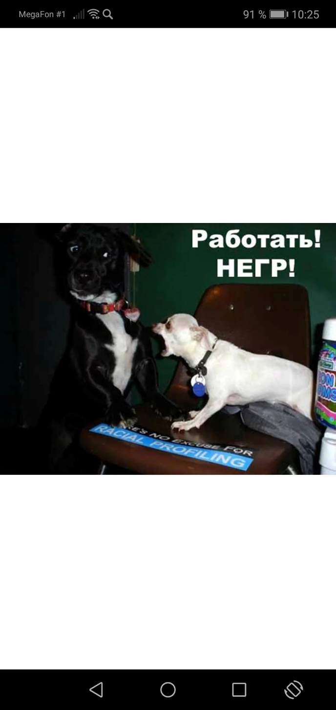 91 П1025 Работать НЕГР