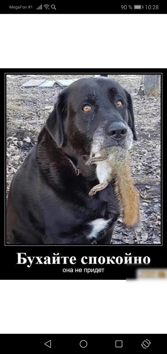 Минин п ні 90 _ 10 28 Бухайте спокойно она не придет