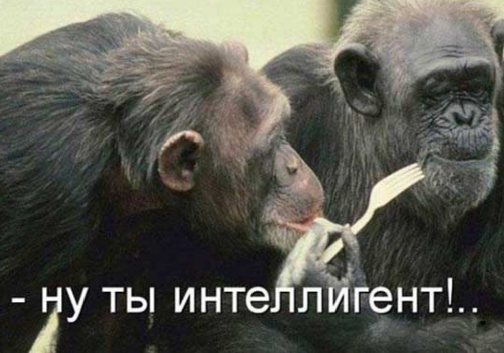 ту ты инте л г9нт