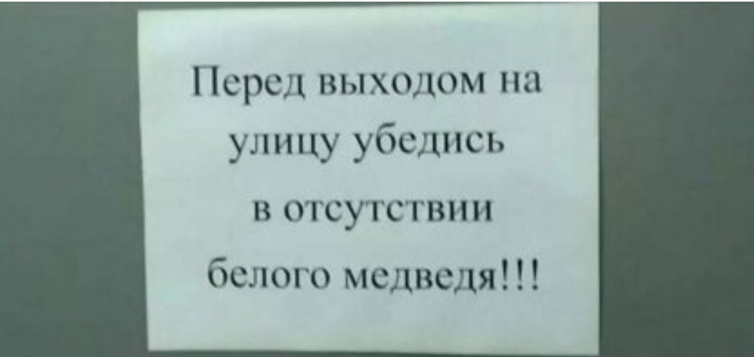 Псрсд выходом на улицу убедись В ОТСУТСТВИИ белого медведя