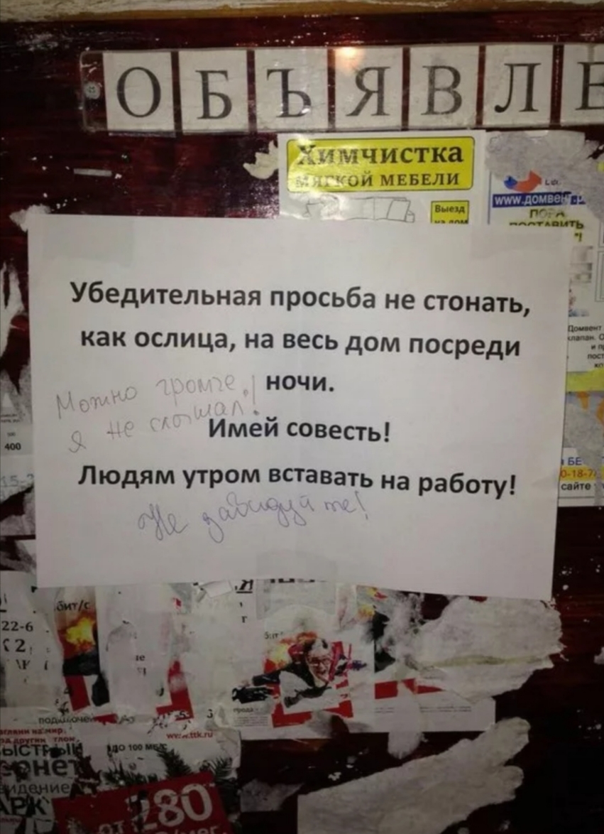 чистка ьши Мломве _ д _шш Убедительная просьба не стонать как ослица на весь дом Посреди 25 ночи Имей совесть БЕ Людям утром вставатЬ на Работу снип т