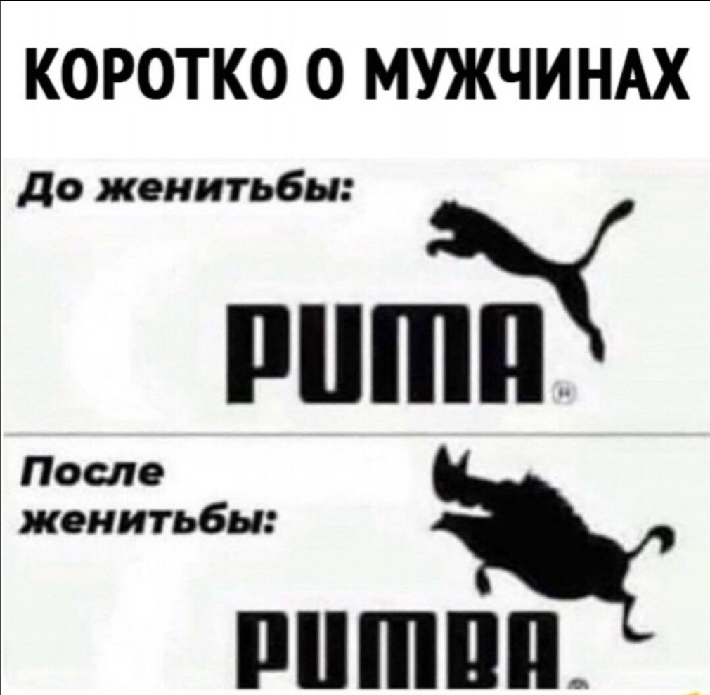 КОРОТКО О МУЖЧИНАХ до женитьбы После женитьбы питии