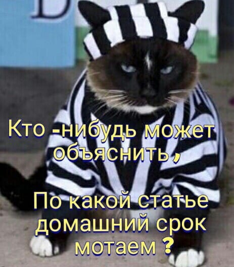 ЧТТЛ ЁЁ ДОМЭШ СРОК і