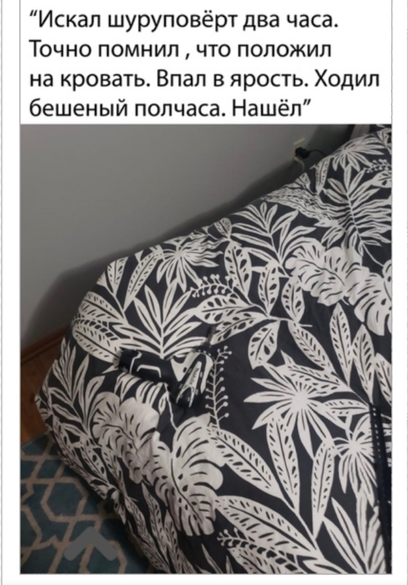что положил Впал в ярость Ходил бешеный полчаса Нашёл С а Ч а В д Т 0 е В О П у 0 у Ш п а К С И Точно помнил на кровать
