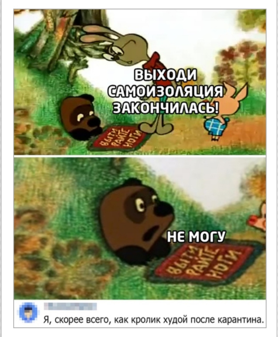 ВЫХОДИ САМ0И39АЯЦИЯ ЗАКбНЧИААСЬ НЕ МОГУ Я скорее всего как кролик худой после карантина