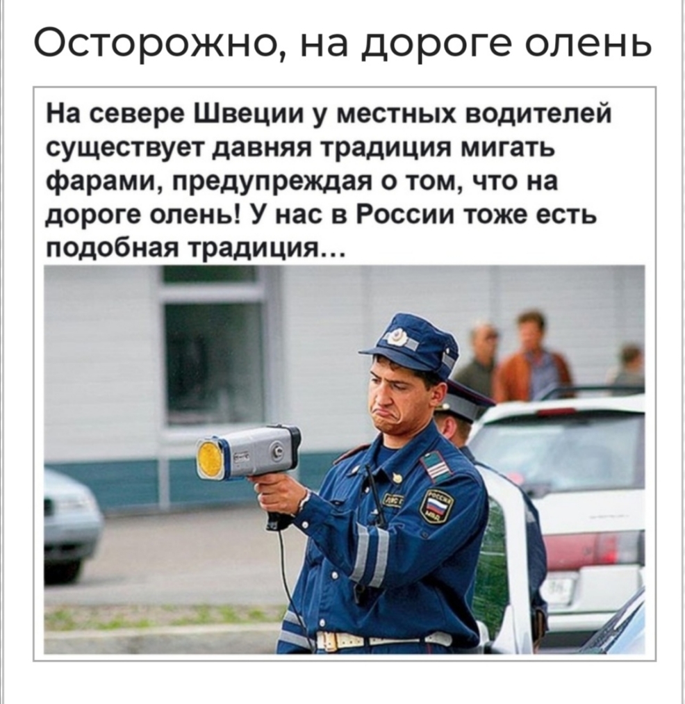 ОСТОРОЖНО Нд ДОРОГО ОЛЭНЬ На севере Швеции у местных водителей существует давняя традиция мигать фарами предупреждая о том что на дороге олень У нас в России тоже есть подобная традиция