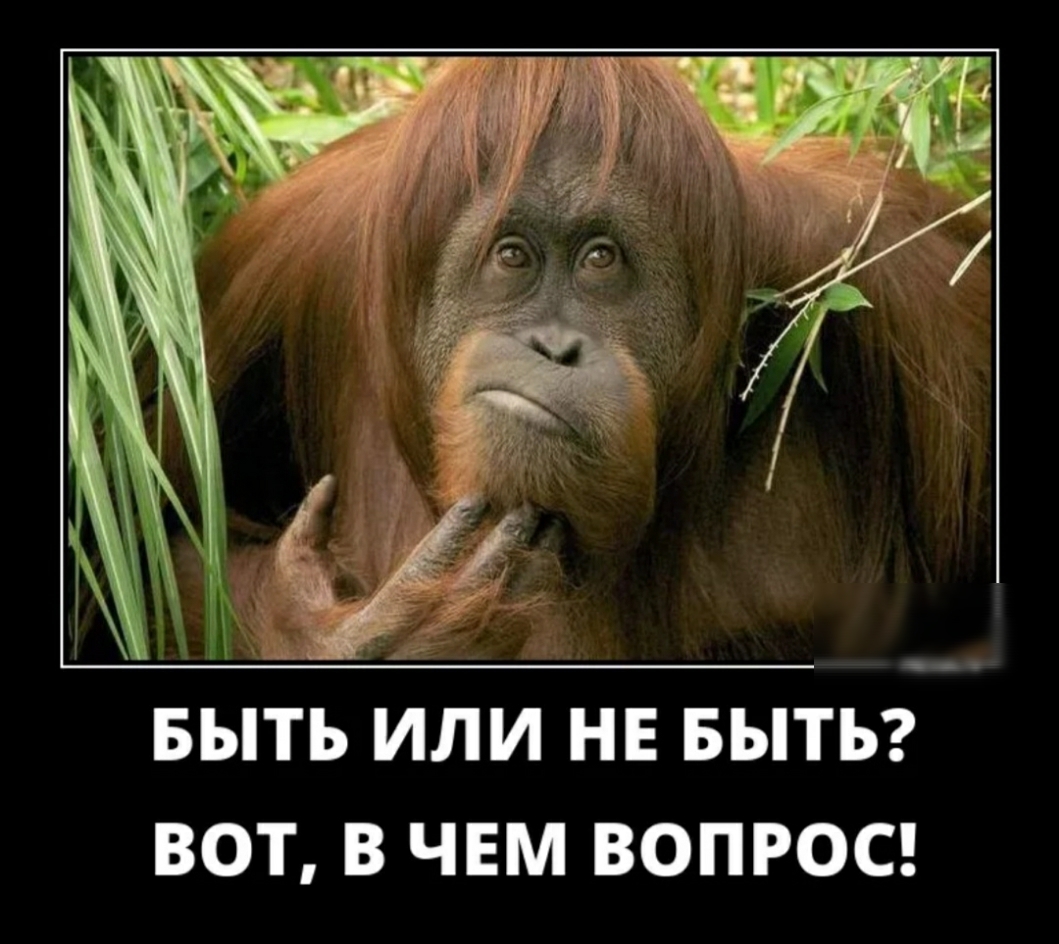 ВОТ В ЧЕМ ВОПРОС