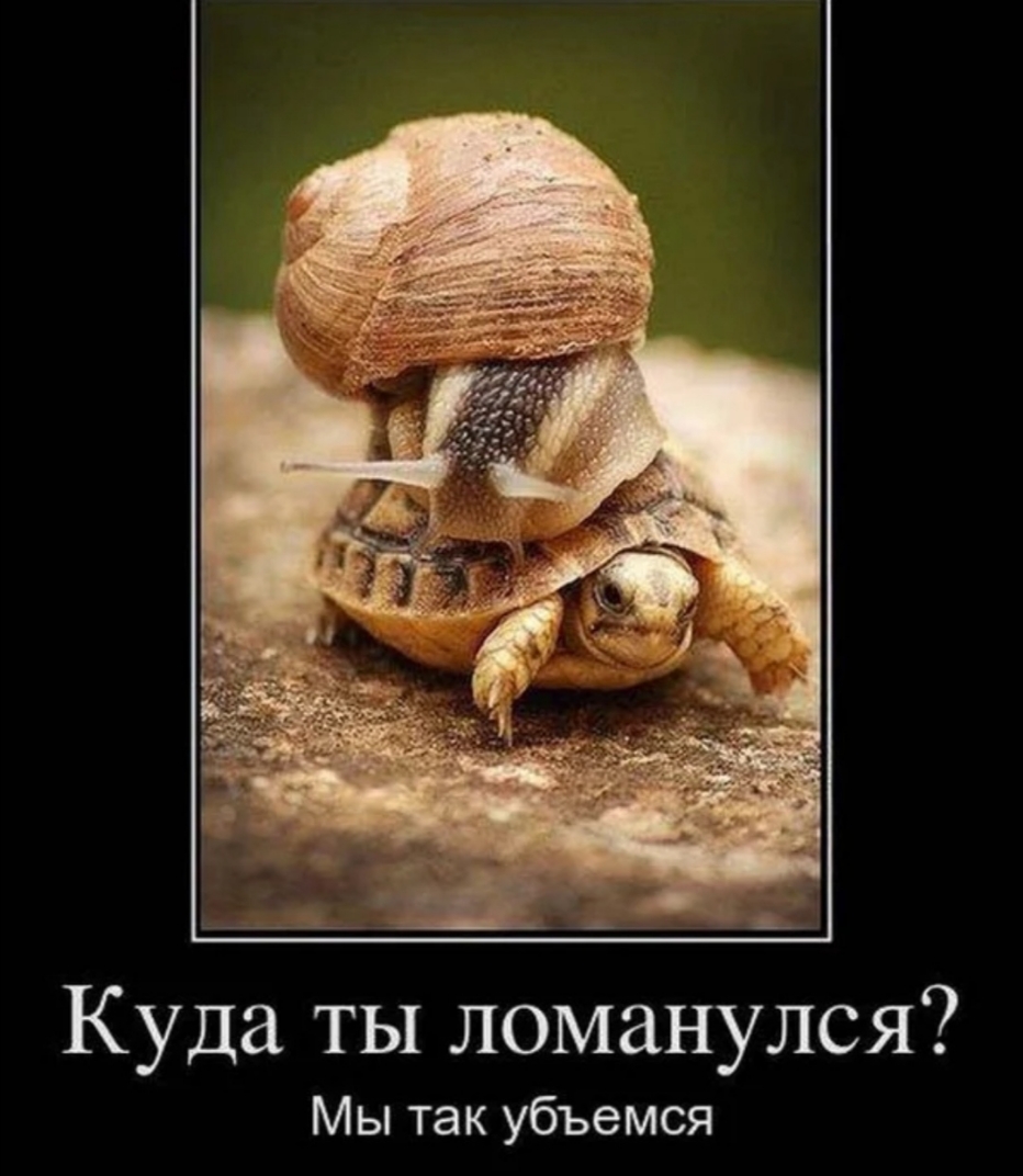 Куда ты ломанулся Мы так убъемся