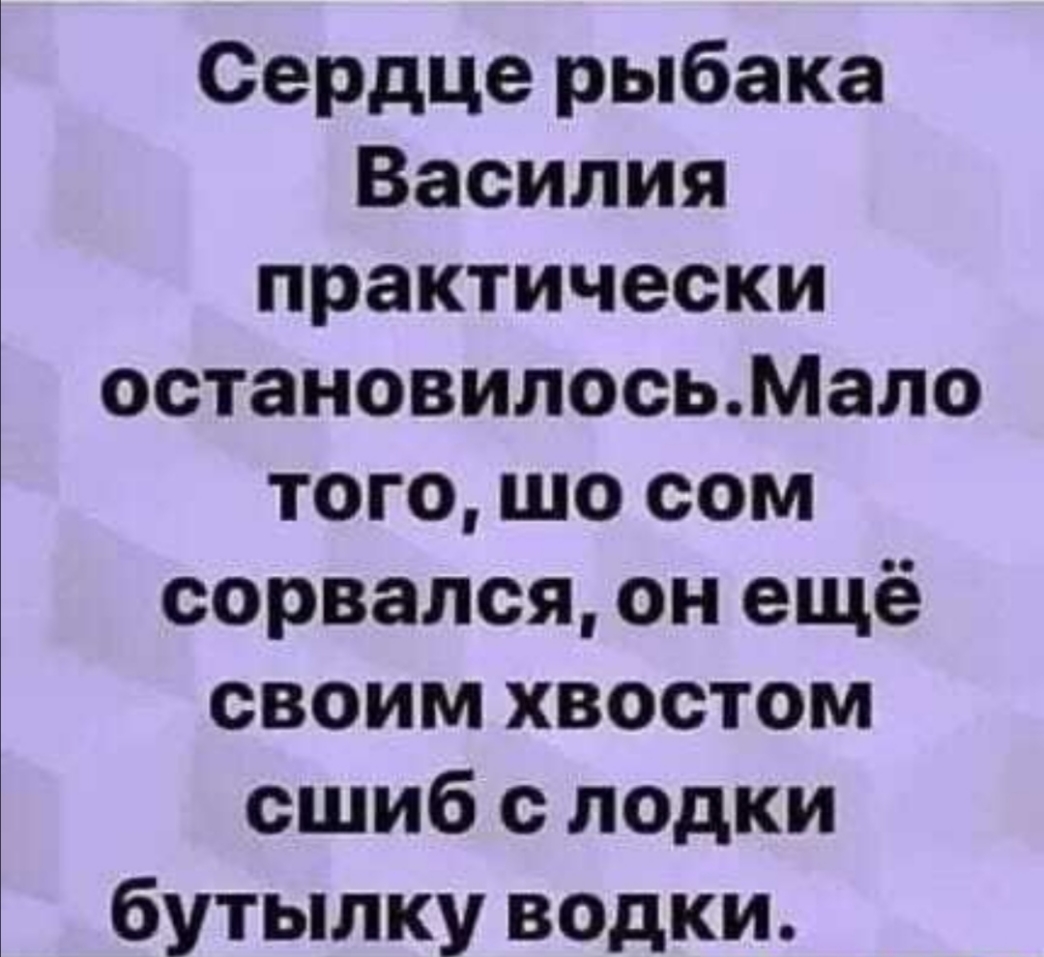 Сердце рыбака Василия практически остановилосьМало того шо сом сорвался он ещё своим хвостом сшиб с лодки бутылку водки