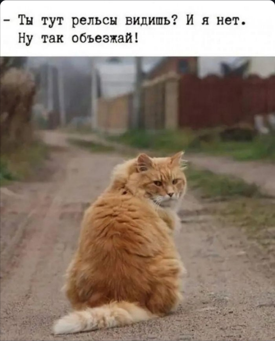 Тн тут рельсы видишь И я нет Ну так объезжай