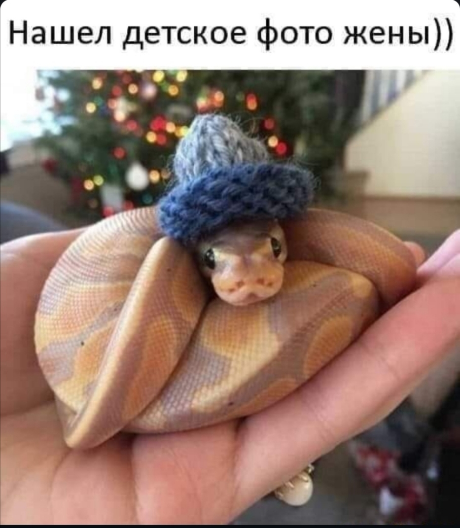 Нашел детское фото жены