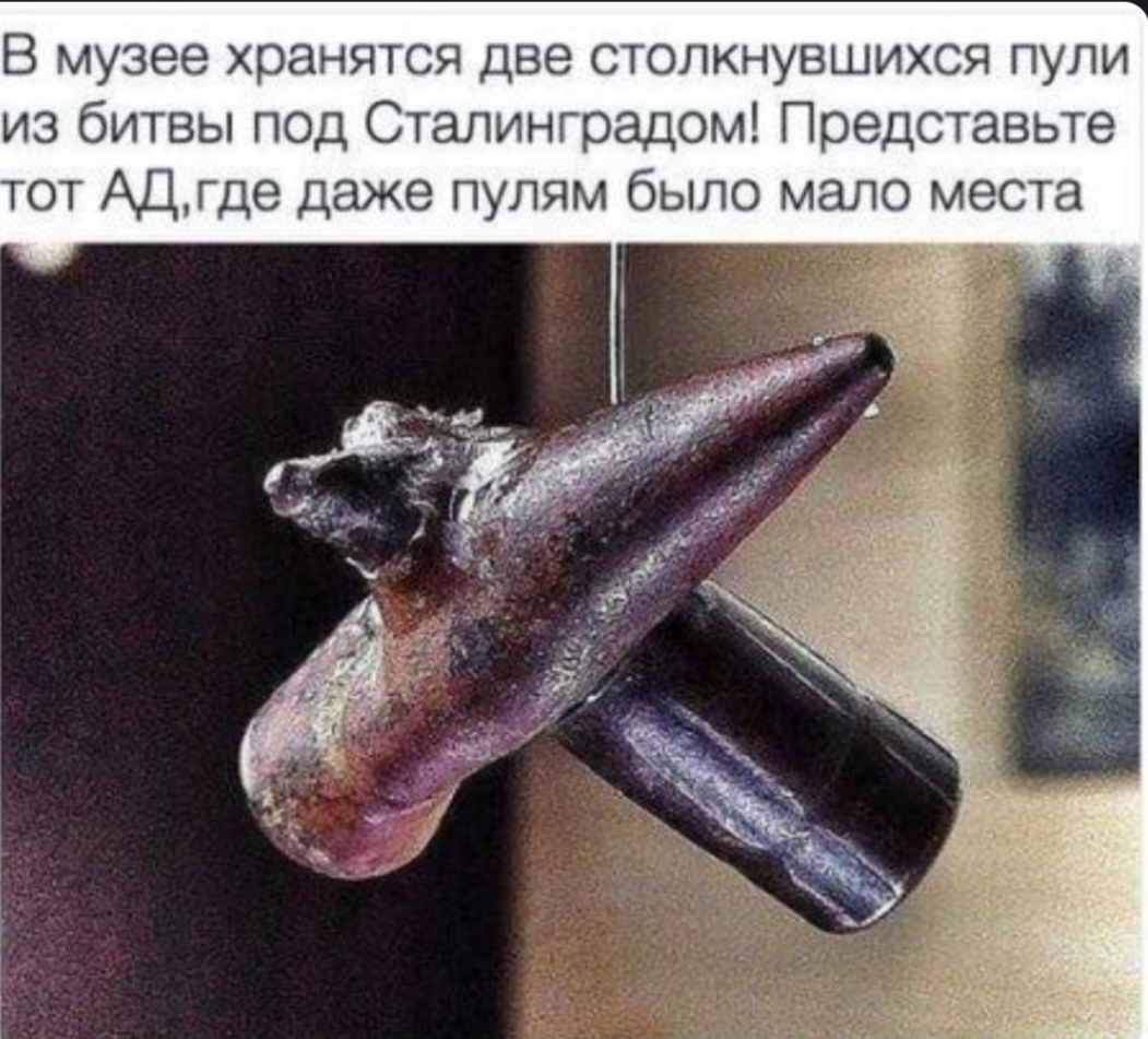 В музее хранятся две столкнувшихся пули из битвы под Сталинградом Представьте тот АДгде даже пулям было мало места