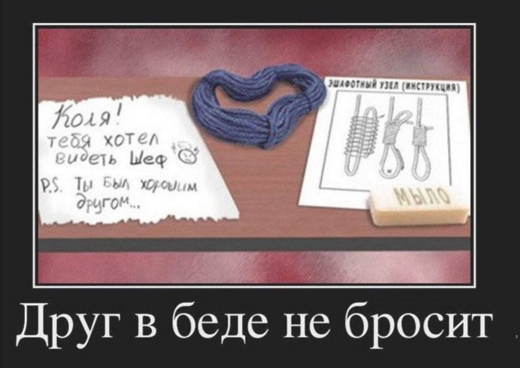 лин п пи шип Друг В беде не бросит