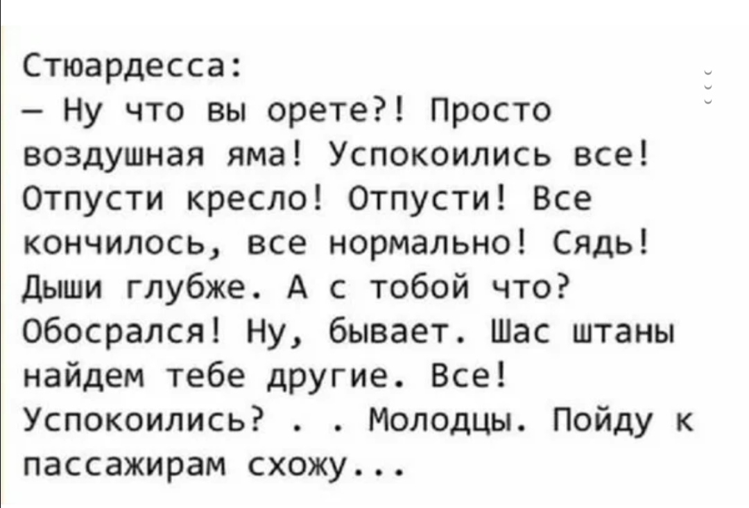 Стюардесса Ну что вы орете Просто воздушная яма Успокоились все Отпусти кресло Отпусти Все кончилось все нормально Сядь Дыши глубже А с тобой что Обосрался Ну бывает Шас штаны найдем тебе другие Все Успокоились Молодцы Пойду к пассажирам схожу