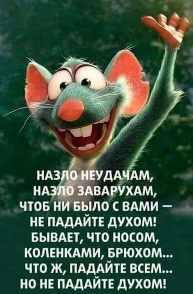 чтов Н БЫЛО ВАМИ не ПАДАЙТЕ духош вывдвт что носом копенмми БРЮХОМ что ж ПАДАЙТЕ всем но не ПАДАЙТЕ духомг