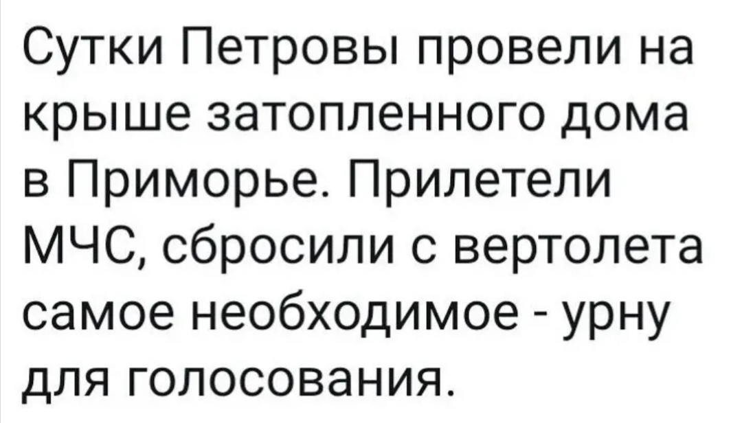 Сутки Петровы провели на крыше затопленного дома в Приморье Прилетели МЧС сбросили с вертолета самое необходимое урну для голосования