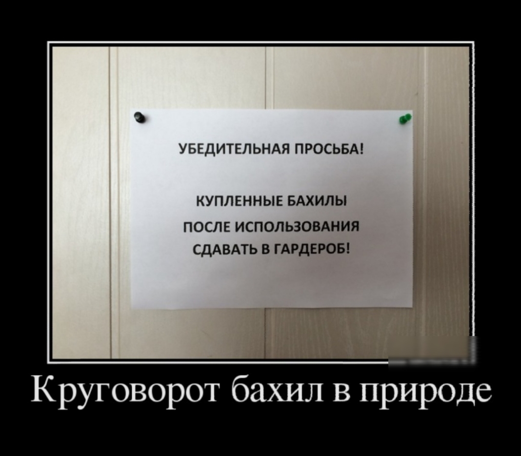 УБЕДИТЕЛ ЬНАЯ ПРОСЬБА КУПЛЕННЫЕ БАХИЛЫ ПОСЛЕ ИСПОЛЬЗОВАНИЯ СдАВАТЬ в ГАРДЕРОБ